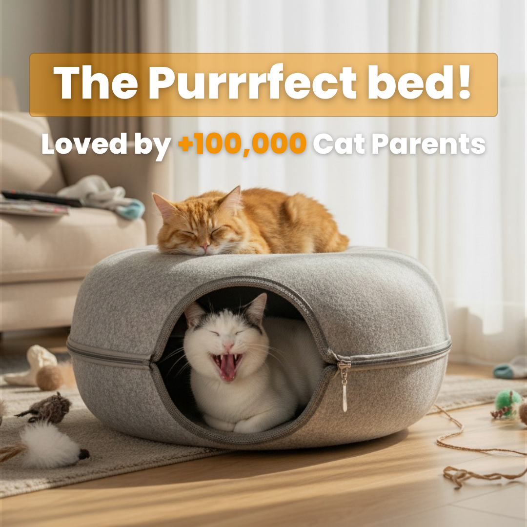 Purrfect Hideaway™